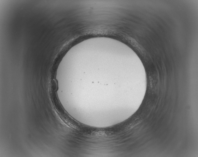 X0000073990588200609181744