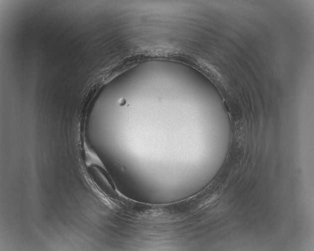 X0000073990589200609181744