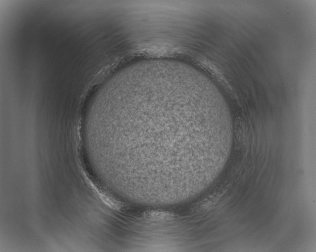 X0000073990590200609181744