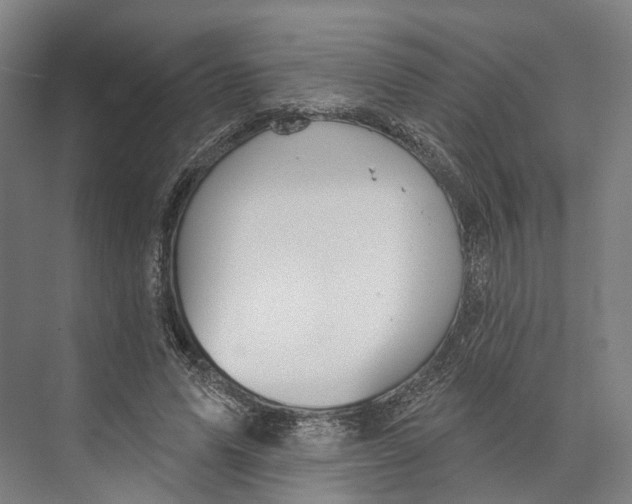 X0000073990591200609181744