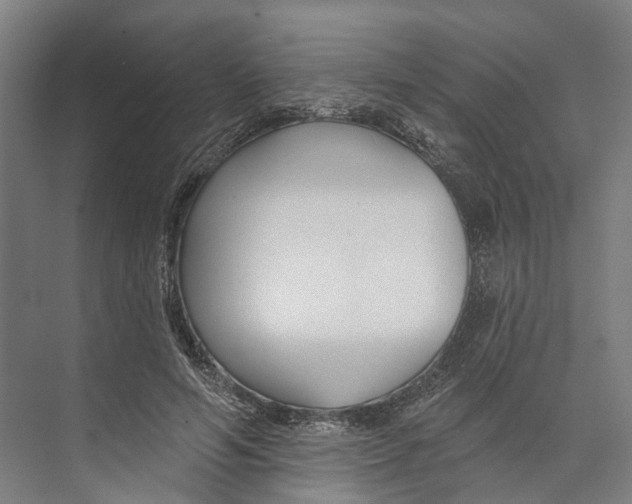 X0000073990594200609181744