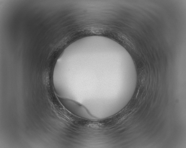 X0000073990595200609181744