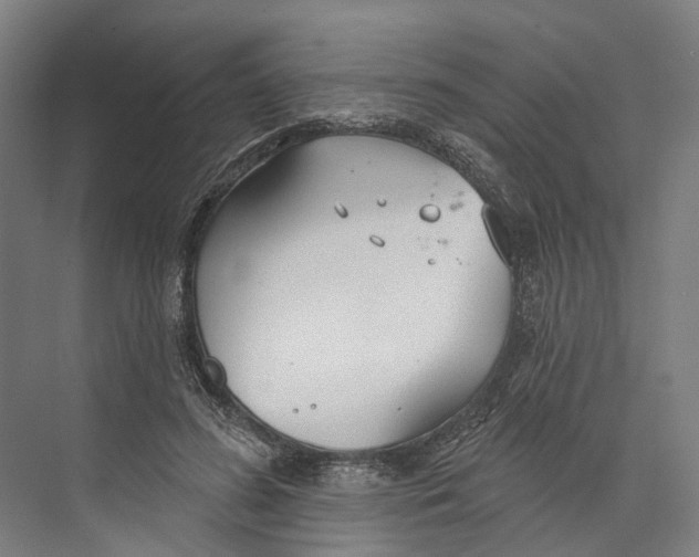 X0000073990596200609181744