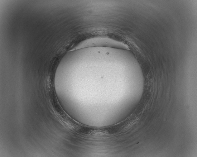 X0000073990597200609181744