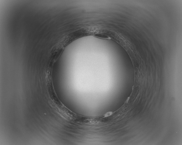 X0000073990601200609181744