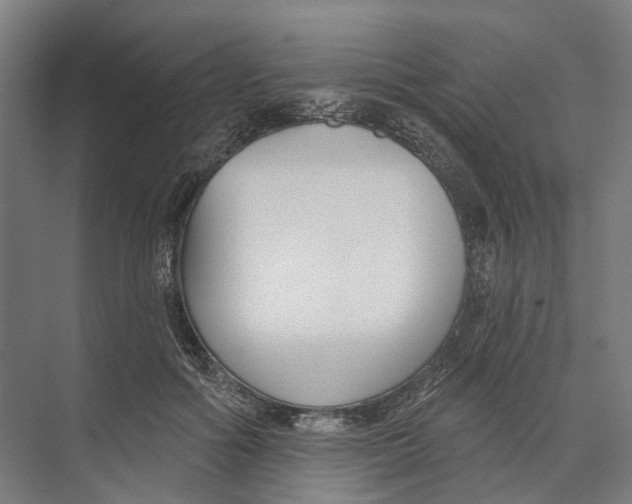 X0000073990602200609181744