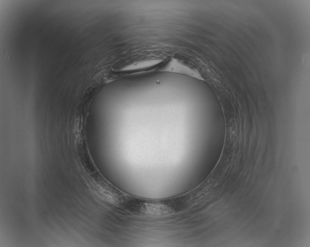 X0000073990605200609181744