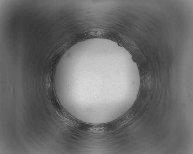 X0000073990606200609181744