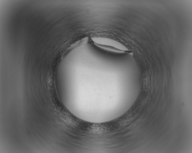 X0000073990608200609181744