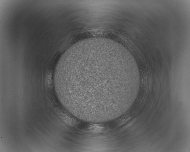 X0000073990610200609181744