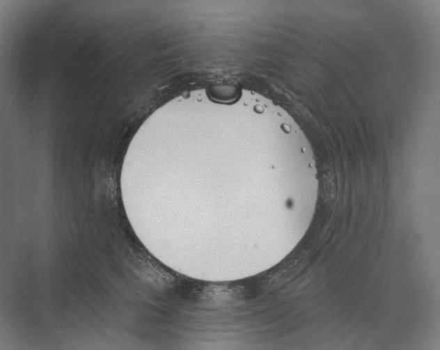 X0000073990613200609181744