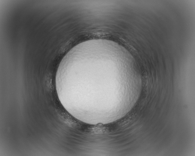 X0000073990615200609181744