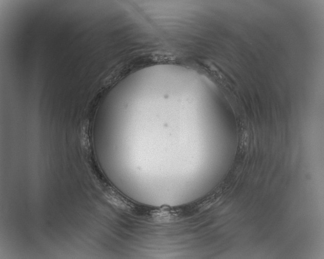 X0000073990616200609181744