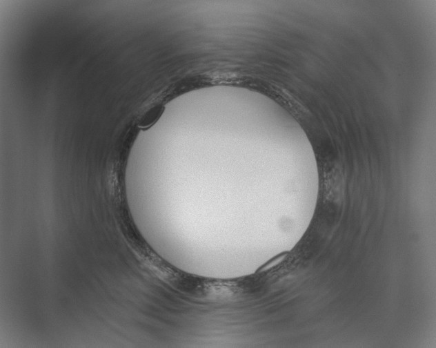 X0000073990618200609181744