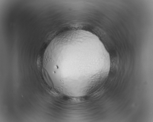 X0000073990623200609181744