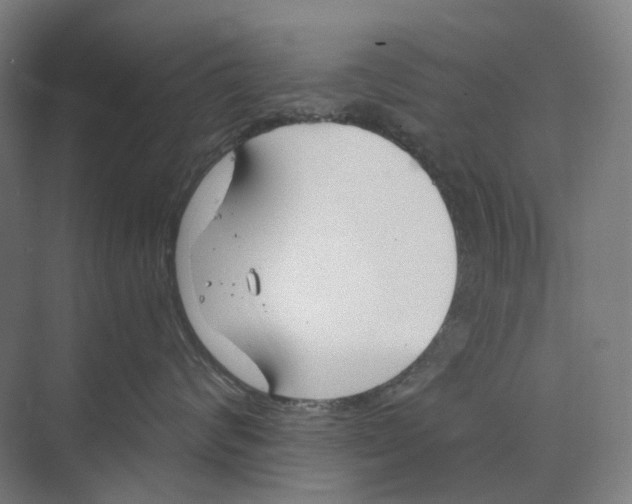 X0000073990624200609181744