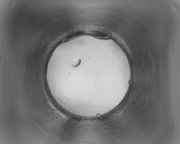 X0000073990625200609181743