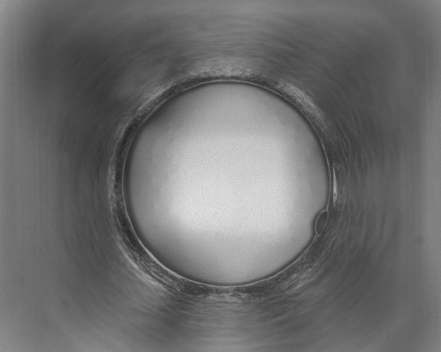 X0000073990627200609181743