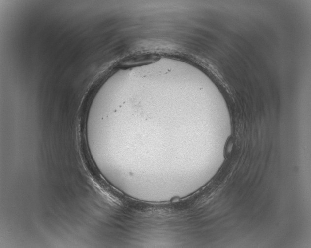 X0000073990629200609181743