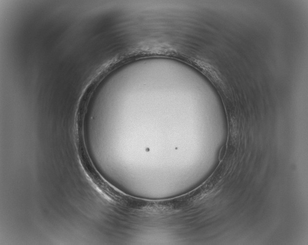 X0000073990630200609181743