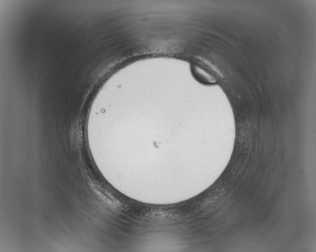 X0000073990632200609181743