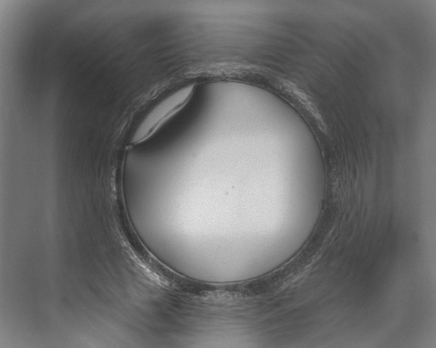 X0000073990633200609181743