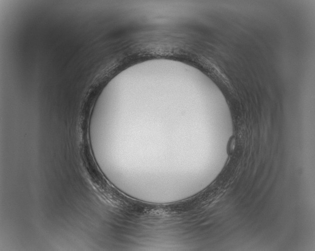 X0000073990635200609181743