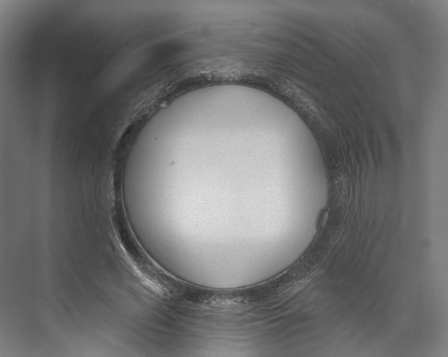 X0000073990638200609181743