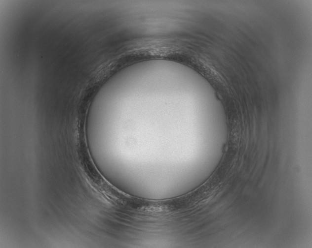 X0000073990639200609181743