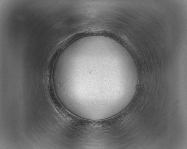 X0000073990640200609181743