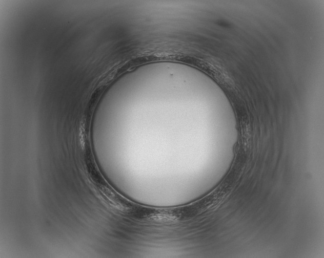 X0000073990644200609181743