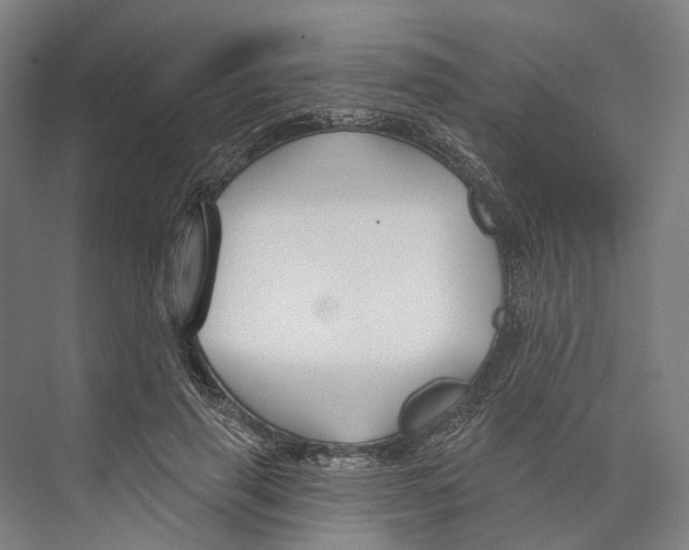 X0000073990645200609181743