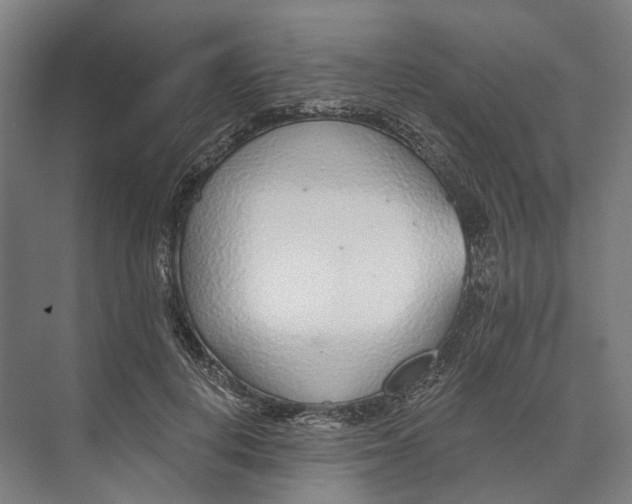 X0000073990648200609181743