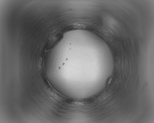 X0000073990649200609181743