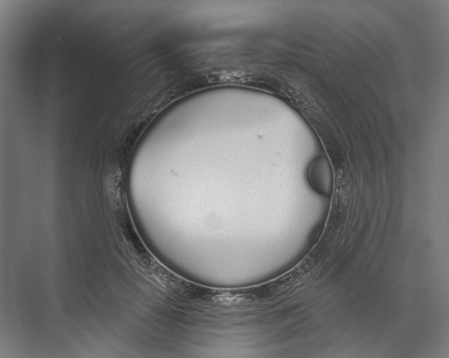 X0000073990650200609181743