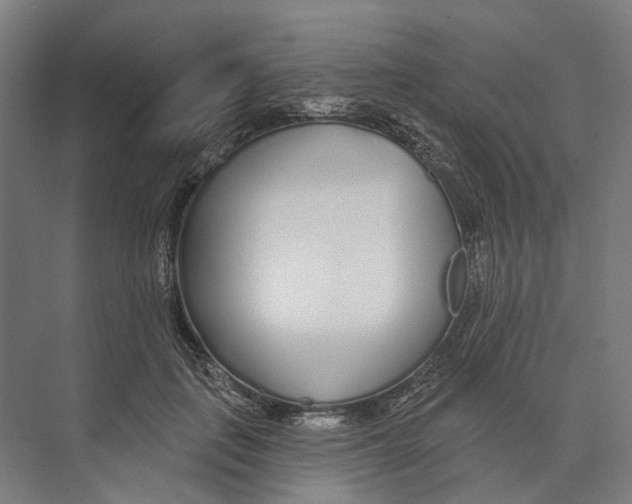 X0000073990651200609181743