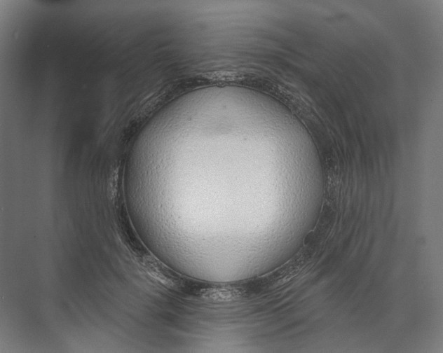 X0000073990652200609181743