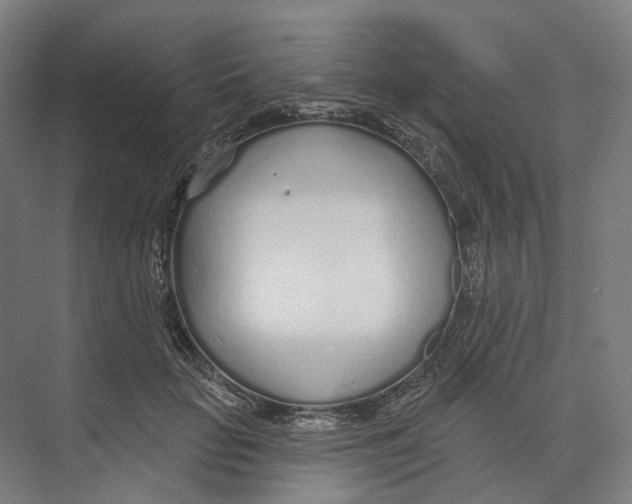 X0000073990653200609181743