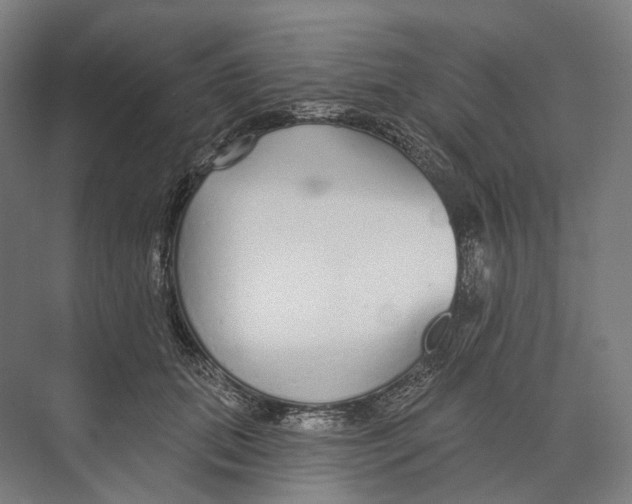 X0000073990655200609181743