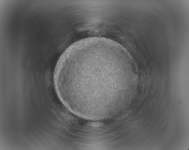 X0000073990659200609181744