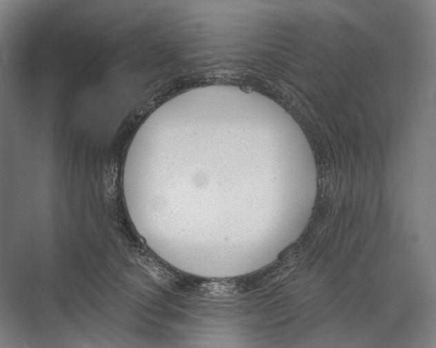 X0000073990660200609181744