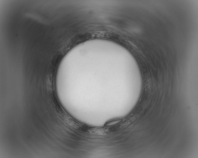 X0000073990661200609181744