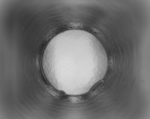 X0000073990662200609181744