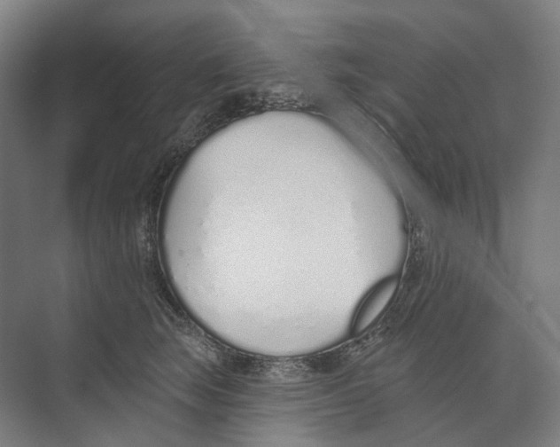 X0000073990663200609181744