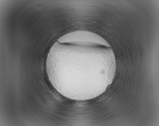 X0000073990664200609181744