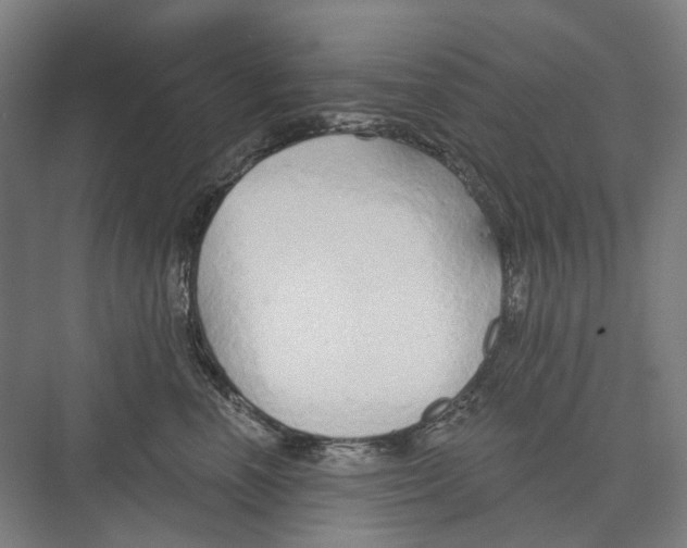 X0000073990666200609181744