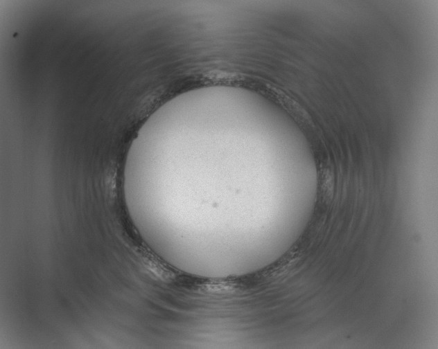 X0000073990668200609181744