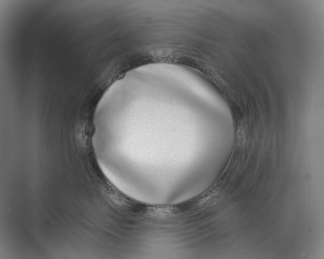 X0000073990671200609181744