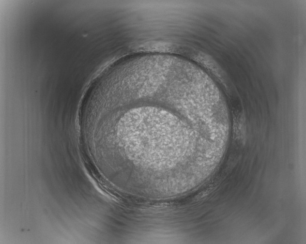 X0000073990674200609181743