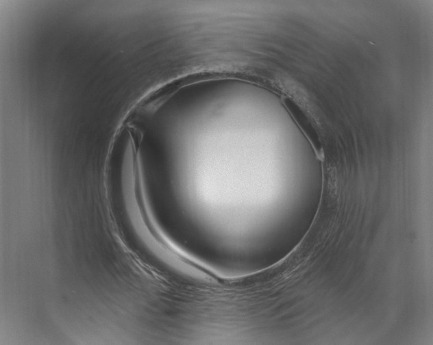 X0000073990676200609181743